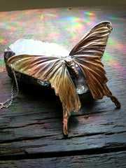 Insect Jewelry