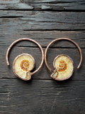 Ammonite Ear Weights