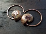 Ammonite Ear Weights