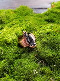 Carborundum Ring size 7