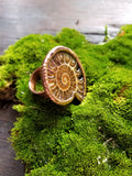 Ammonite Ring size 7.5