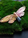 Cicada with Carborundum Vial