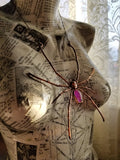 Orb Spider with Pink Rainbow Moonstone Coffin