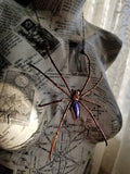 Orb Spider with Violet Rainbow Moonstone Coffin