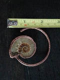 Ammonite Ear Weights