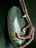 Dragon Claw and Purple Labradorite