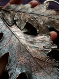 Oak Leaf with Labradorite Pendant