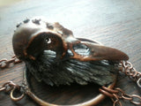Magpie Corvid Skull with Kyanite, Diamonds, Pearls, and Quartz