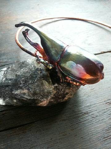 Rhinoceros Beetle and Kyanite Neck Loop