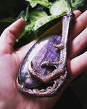 Dragon Claw and Purple Labradorite