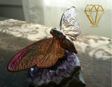 Cicada Double Finger Ring