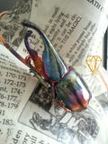 Rhinoceros Beetle and Kyanite Neck Loop