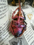 Rhinoceros Beetle and Kyanite Neck Loop